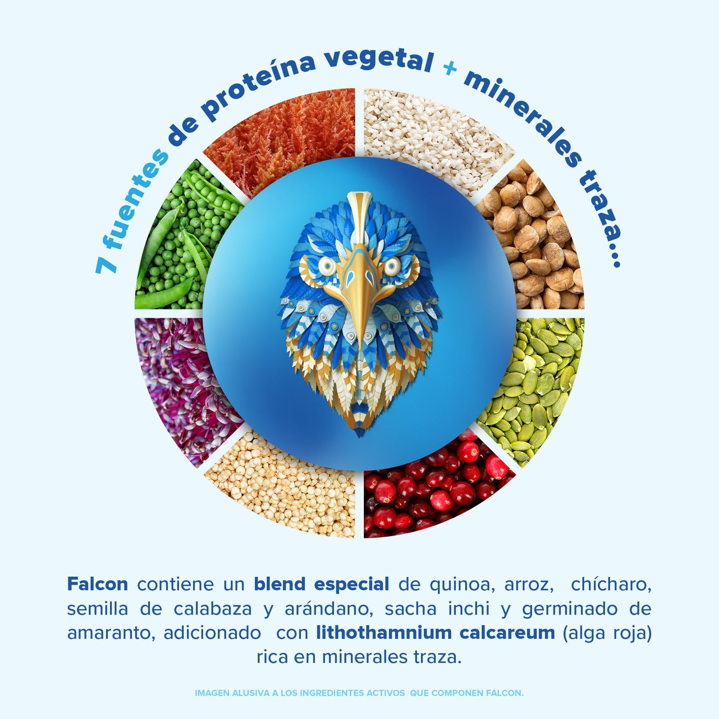 Birdman Falcon Protein Proteina Vegetal Organica En Polvo (Vegana) Certificada USDA, 22gr Proteina por porción, Sin inflamacion, Sin acne, Sabor Vainilla | 39 servicios | 1.170Kg